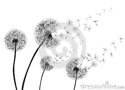 Abstract Dandelions dandelion with flying seeds Vector Illustration